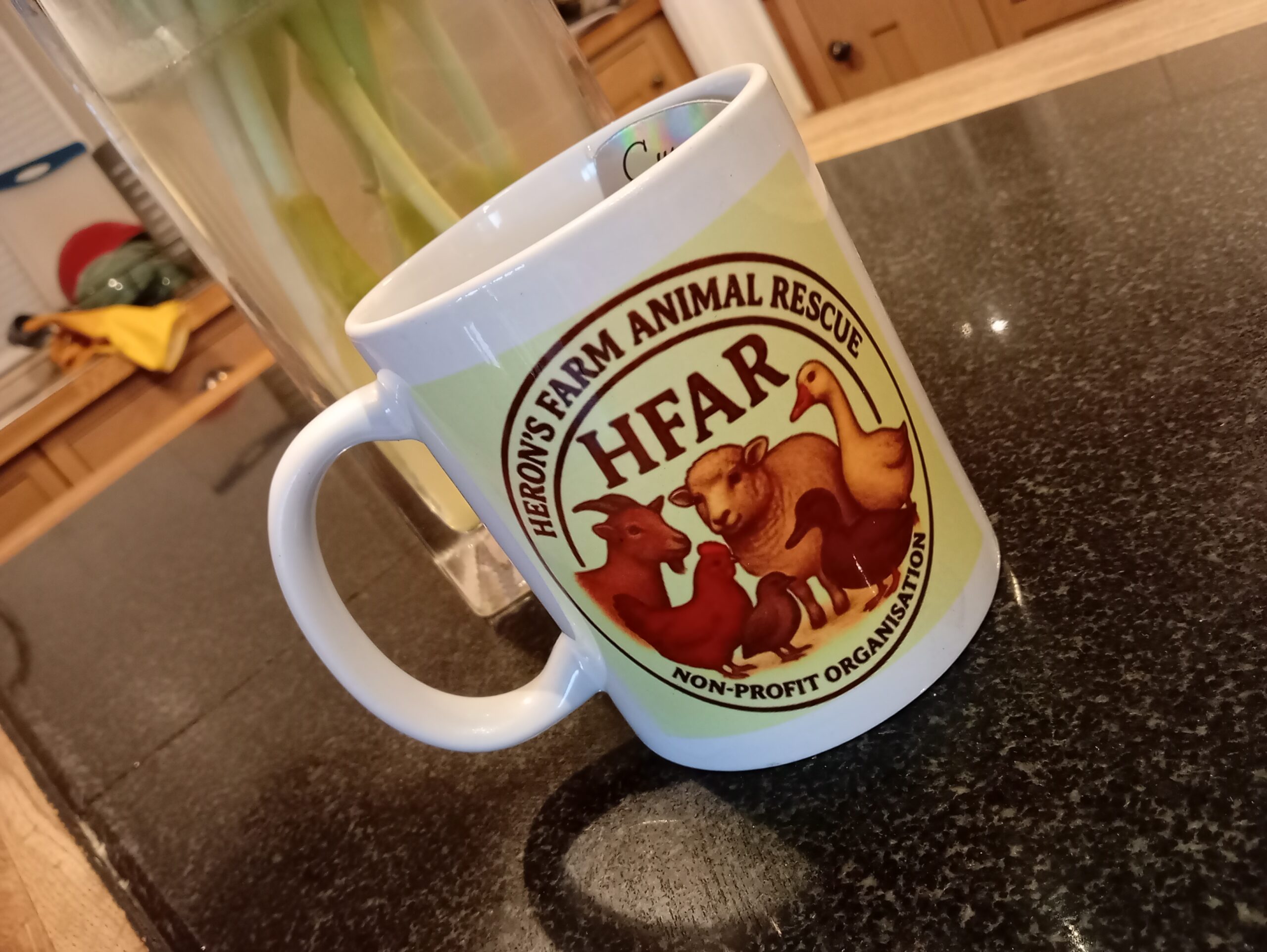 HFAR Mug